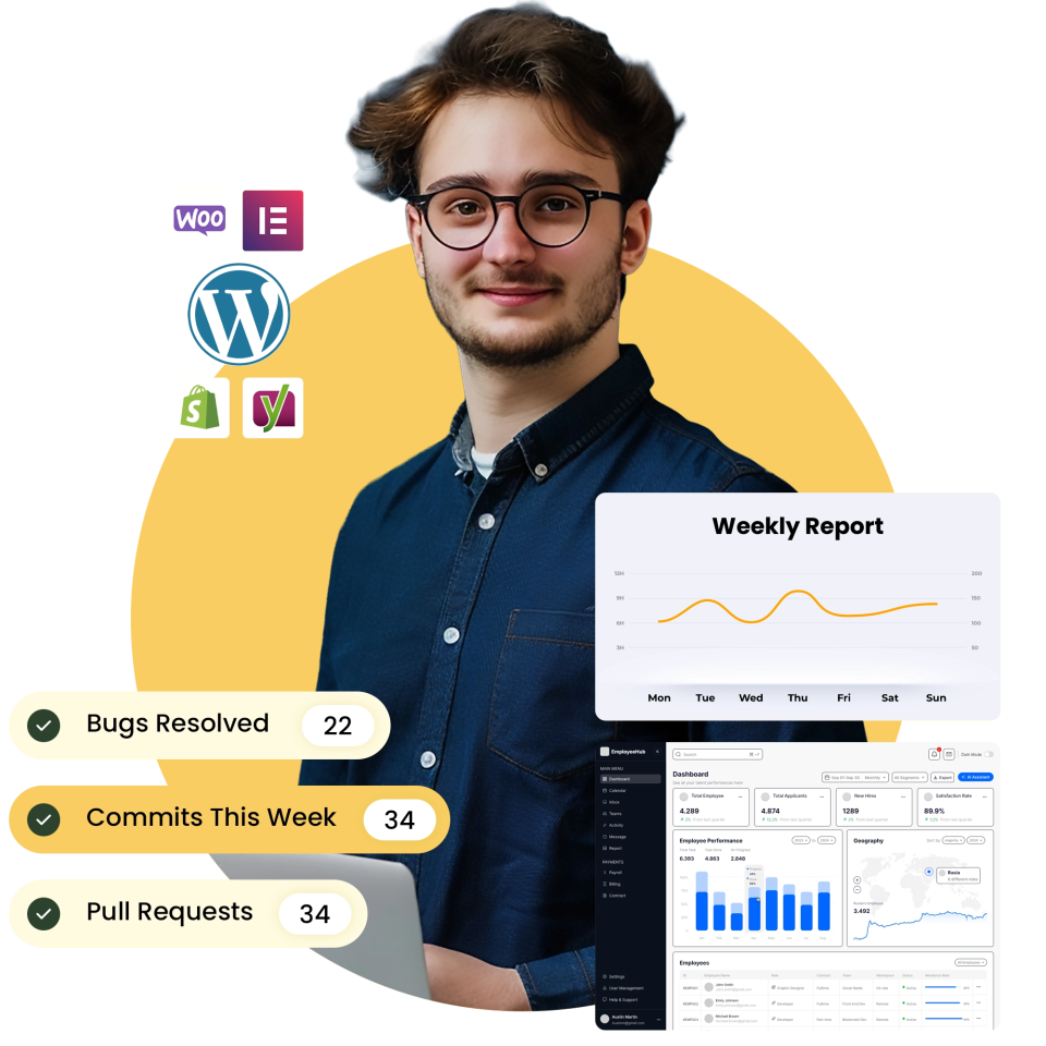 hire wordpress developer